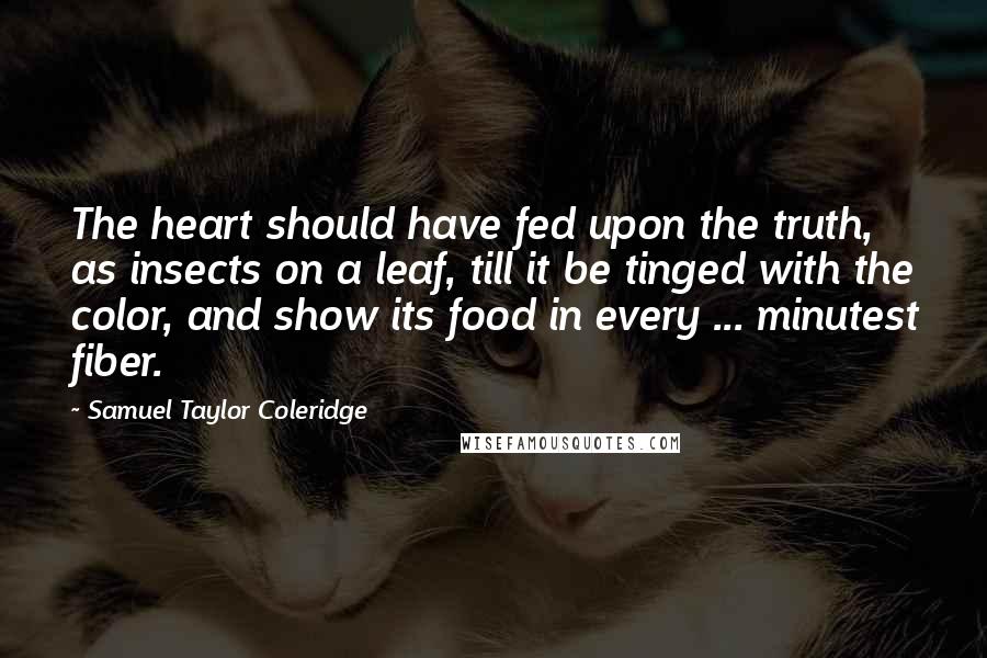 Samuel Taylor Coleridge Quotes: The heart should have fed upon the truth, as insects on a leaf, till it be tinged with the color, and show its food in every ... minutest fiber.