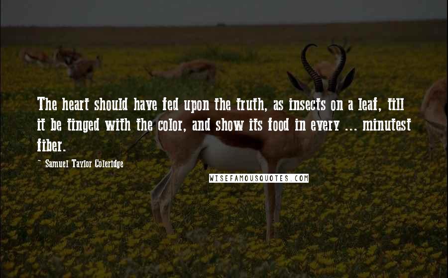 Samuel Taylor Coleridge Quotes: The heart should have fed upon the truth, as insects on a leaf, till it be tinged with the color, and show its food in every ... minutest fiber.