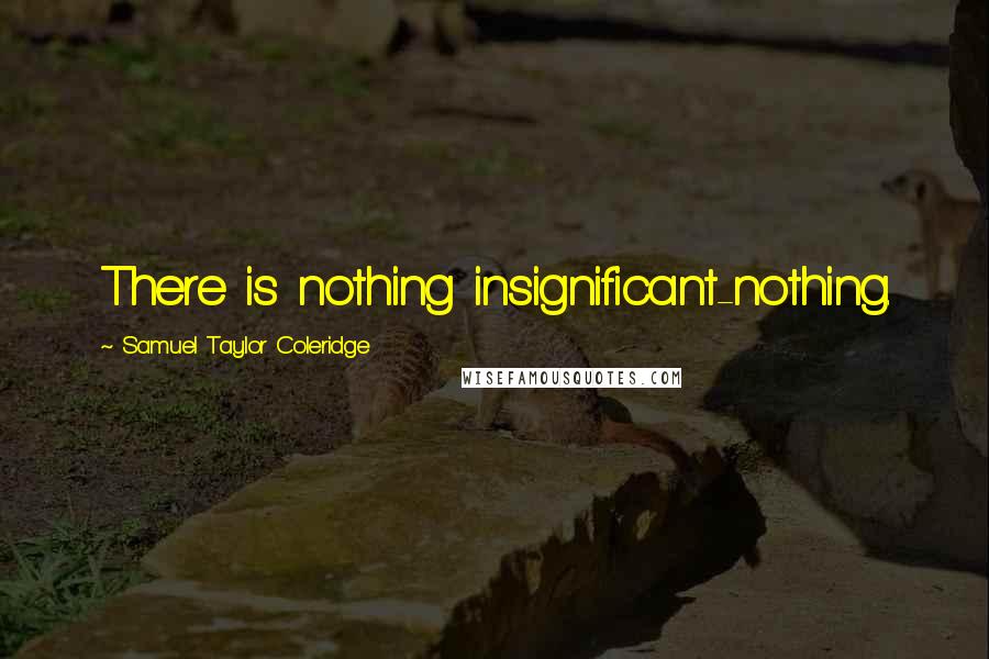 Samuel Taylor Coleridge Quotes: There is nothing insignificant-nothing.