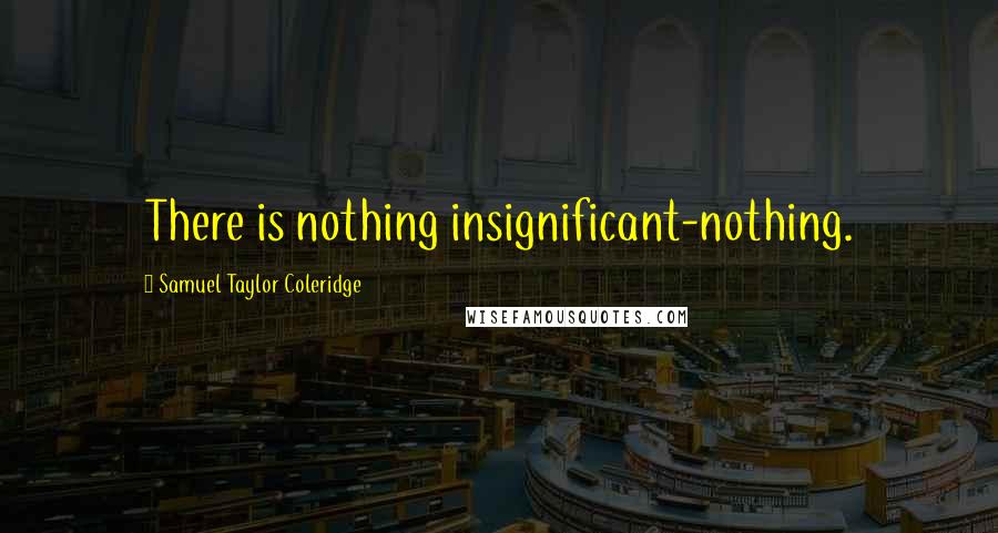 Samuel Taylor Coleridge Quotes: There is nothing insignificant-nothing.