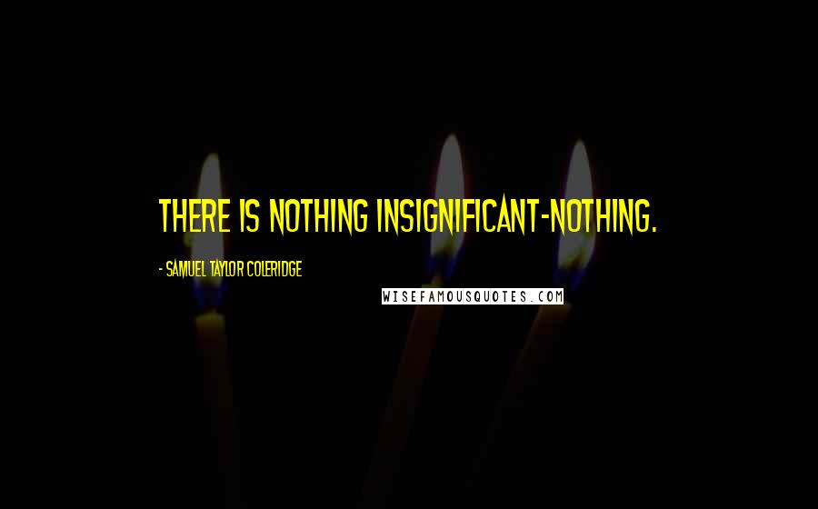 Samuel Taylor Coleridge Quotes: There is nothing insignificant-nothing.