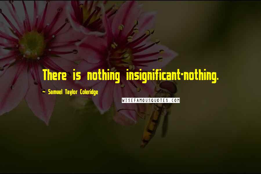 Samuel Taylor Coleridge Quotes: There is nothing insignificant-nothing.