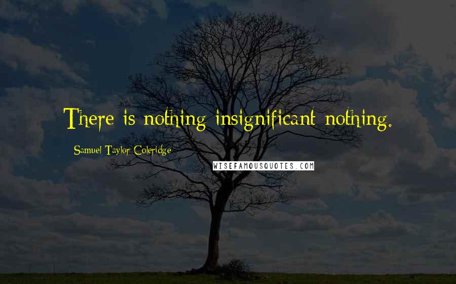Samuel Taylor Coleridge Quotes: There is nothing insignificant-nothing.