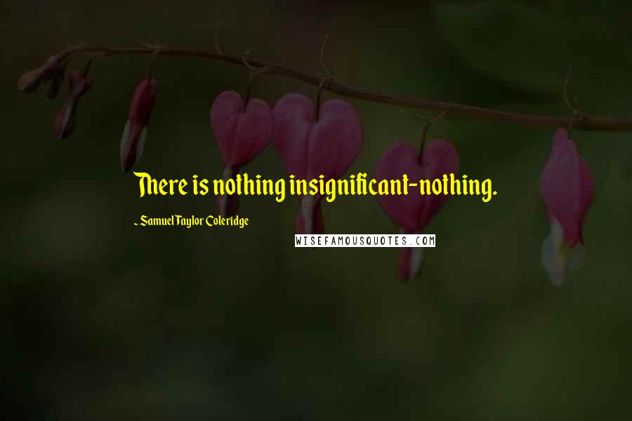 Samuel Taylor Coleridge Quotes: There is nothing insignificant-nothing.