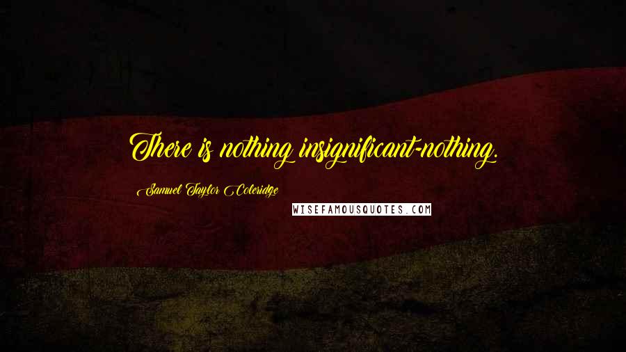 Samuel Taylor Coleridge Quotes: There is nothing insignificant-nothing.