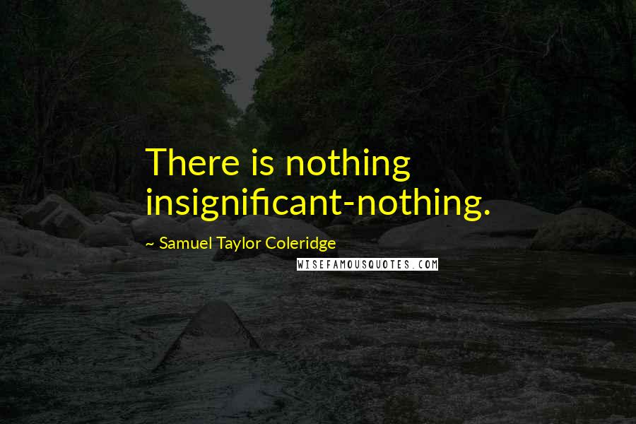 Samuel Taylor Coleridge Quotes: There is nothing insignificant-nothing.