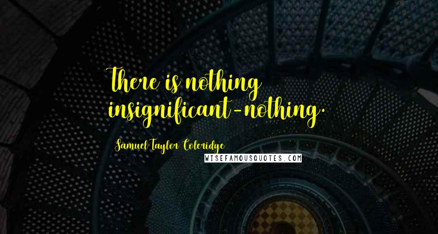 Samuel Taylor Coleridge Quotes: There is nothing insignificant-nothing.