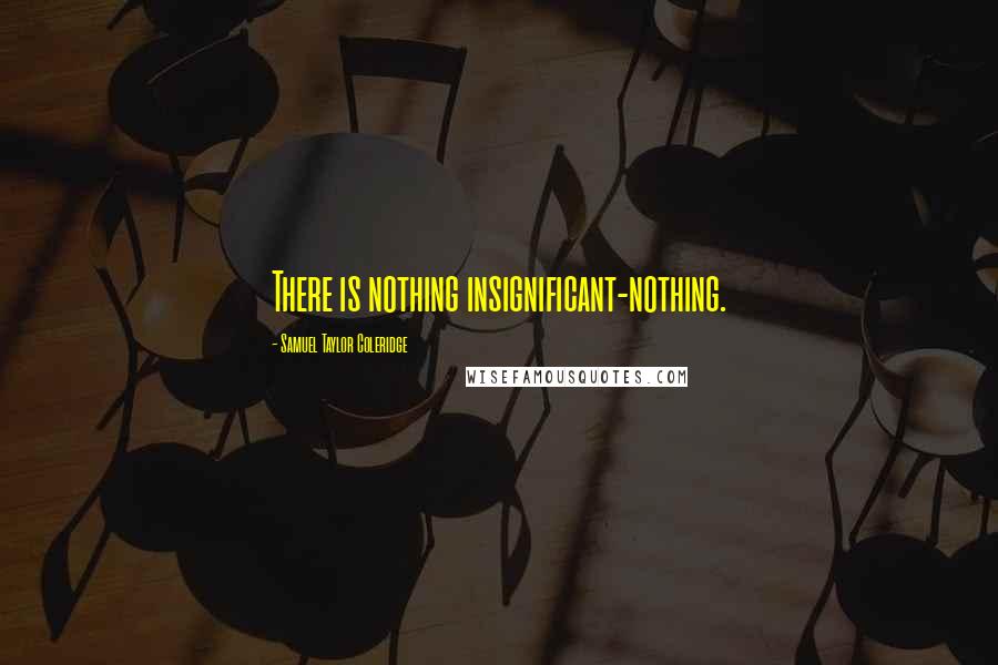 Samuel Taylor Coleridge Quotes: There is nothing insignificant-nothing.