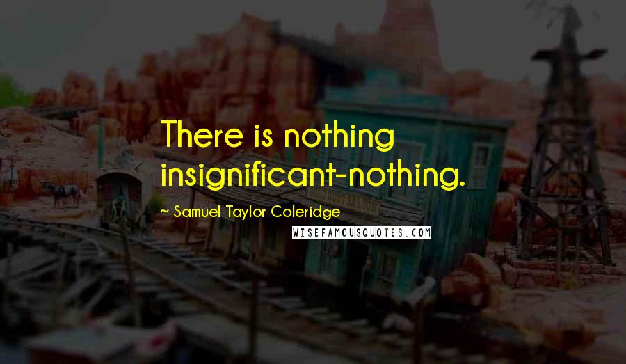 Samuel Taylor Coleridge Quotes: There is nothing insignificant-nothing.