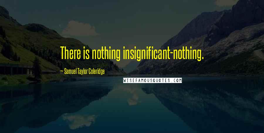 Samuel Taylor Coleridge Quotes: There is nothing insignificant-nothing.