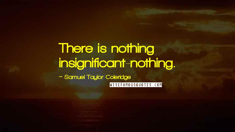 Samuel Taylor Coleridge Quotes: There is nothing insignificant-nothing.