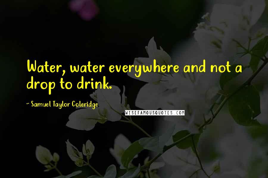 Samuel Taylor Coleridge Quotes: Water, water everywhere and not a drop to drink.