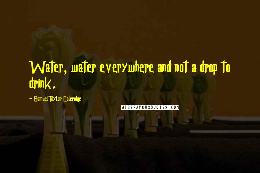 Samuel Taylor Coleridge Quotes: Water, water everywhere and not a drop to drink.