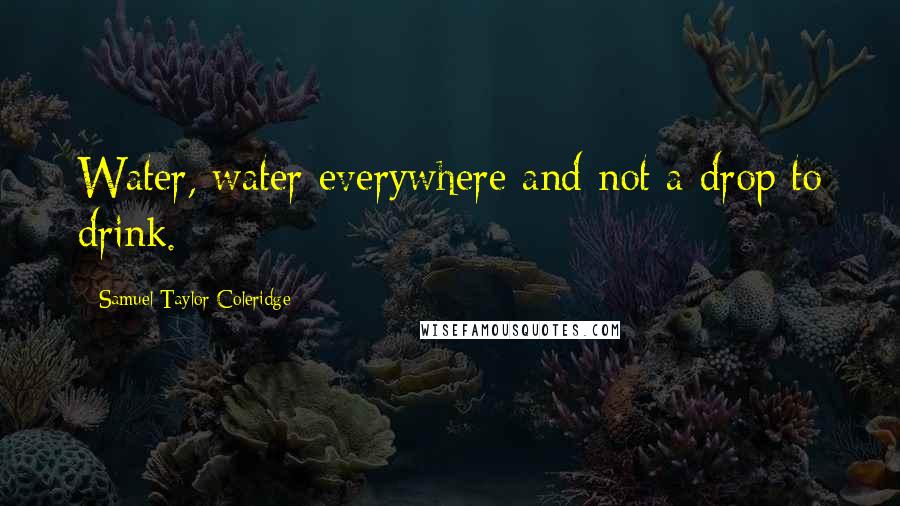 Samuel Taylor Coleridge Quotes: Water, water everywhere and not a drop to drink.