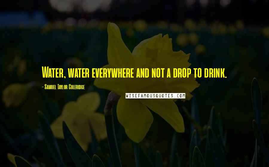 Samuel Taylor Coleridge Quotes: Water, water everywhere and not a drop to drink.