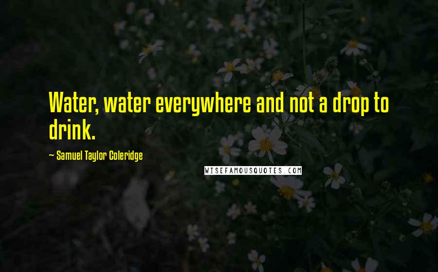 Samuel Taylor Coleridge Quotes: Water, water everywhere and not a drop to drink.