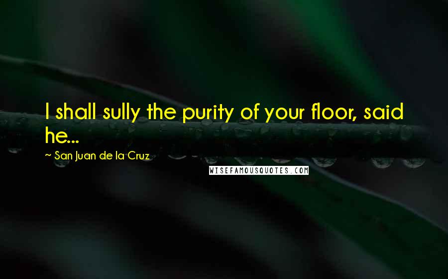 San Juan De La Cruz Quotes: I shall sully the purity of your floor, said he...