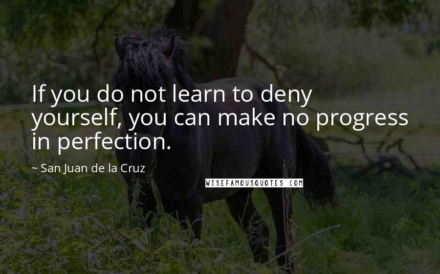 San Juan De La Cruz Quotes: If you do not learn to deny yourself, you can make no progress in perfection.