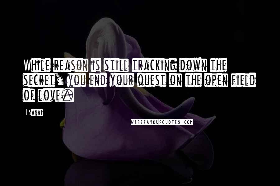 Sanai Quotes: While reason is still tracking down the secret, you end your quest on the open field of love.