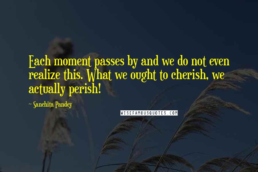 Sanchita Pandey Quotes: Each moment passes by and we do not even realize this. What we ought to cherish, we actually perish!