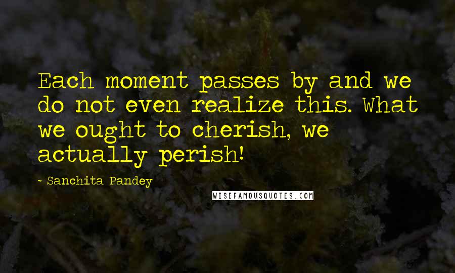 Sanchita Pandey Quotes: Each moment passes by and we do not even realize this. What we ought to cherish, we actually perish!