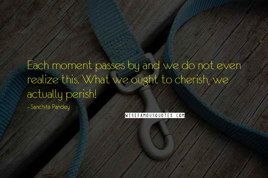 Sanchita Pandey Quotes: Each moment passes by and we do not even realize this. What we ought to cherish, we actually perish!