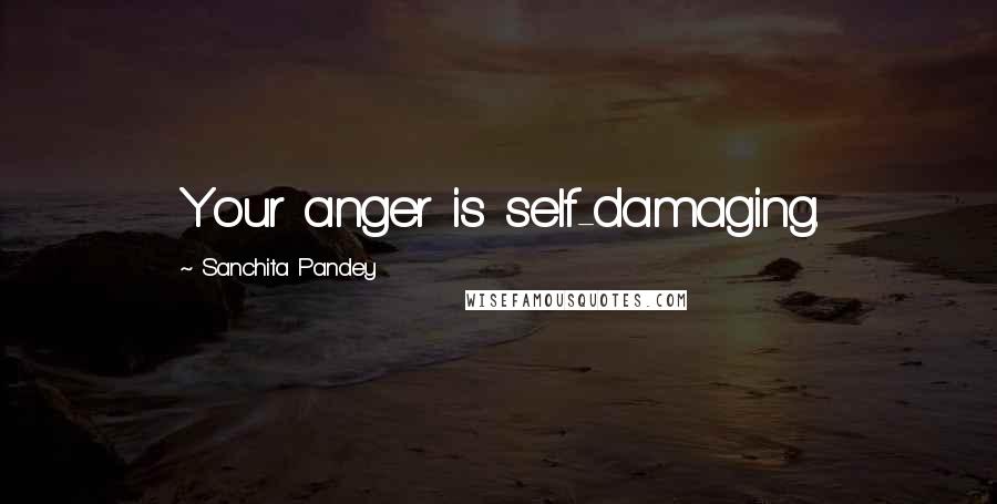 Sanchita Pandey Quotes: Your anger is self-damaging.