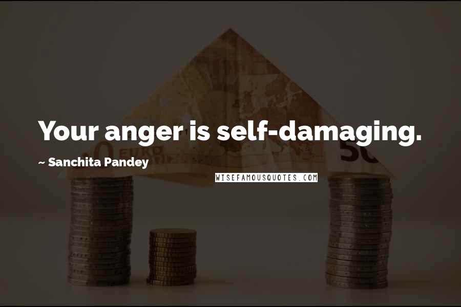 Sanchita Pandey Quotes: Your anger is self-damaging.