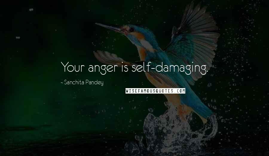 Sanchita Pandey Quotes: Your anger is self-damaging.