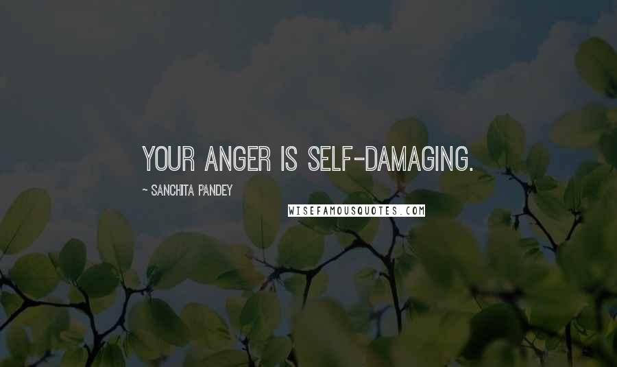 Sanchita Pandey Quotes: Your anger is self-damaging.