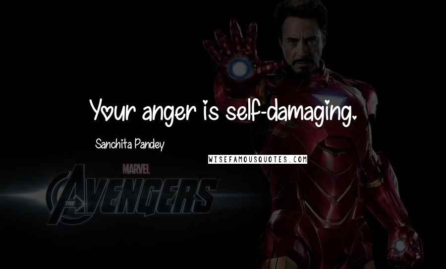 Sanchita Pandey Quotes: Your anger is self-damaging.