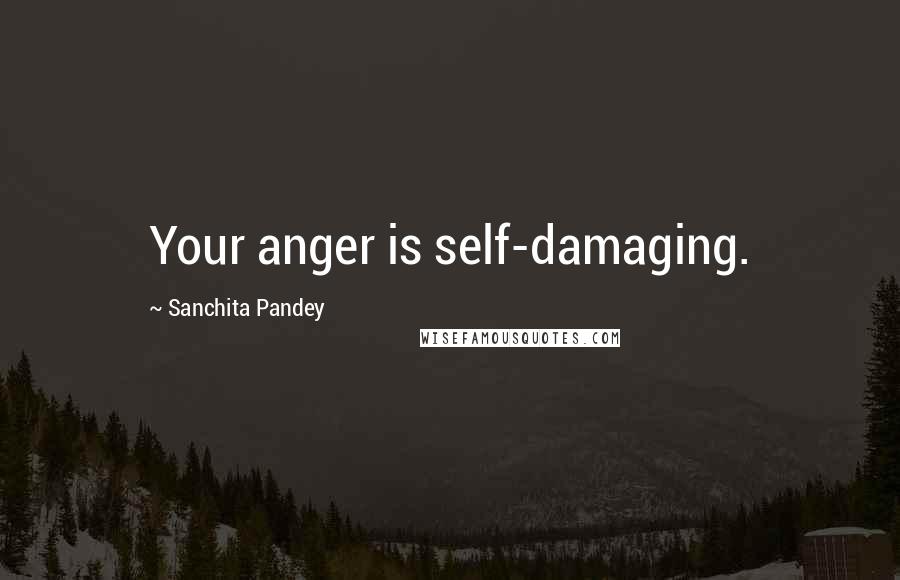 Sanchita Pandey Quotes: Your anger is self-damaging.