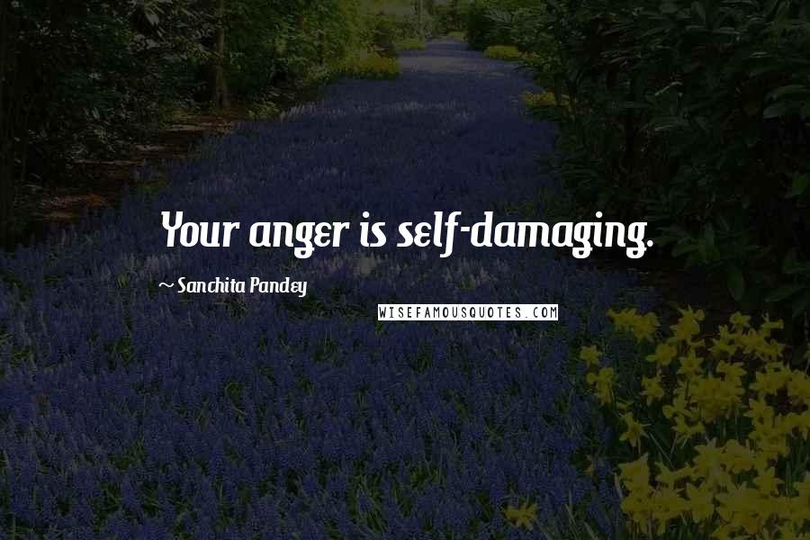 Sanchita Pandey Quotes: Your anger is self-damaging.