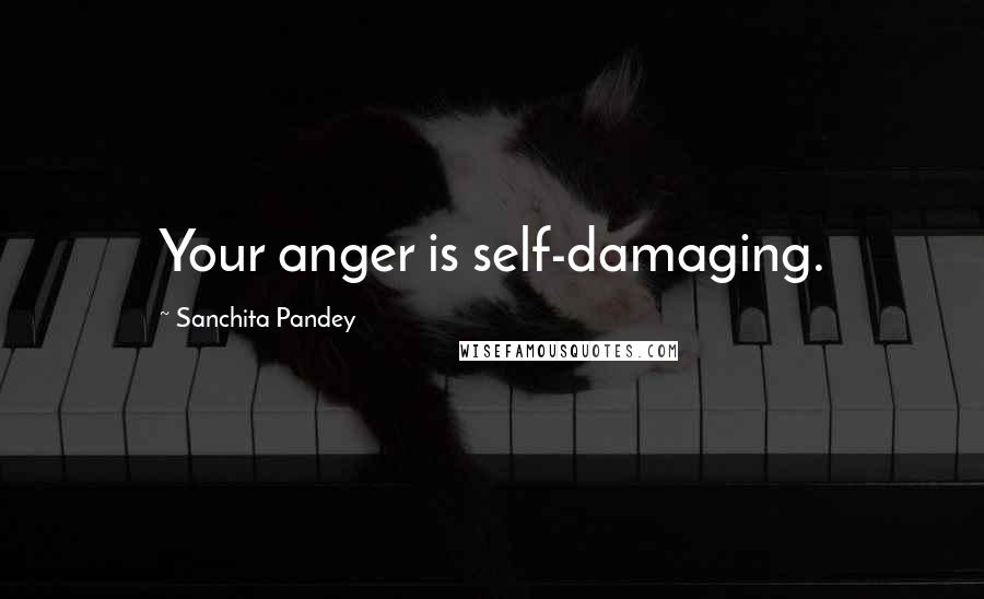 Sanchita Pandey Quotes: Your anger is self-damaging.