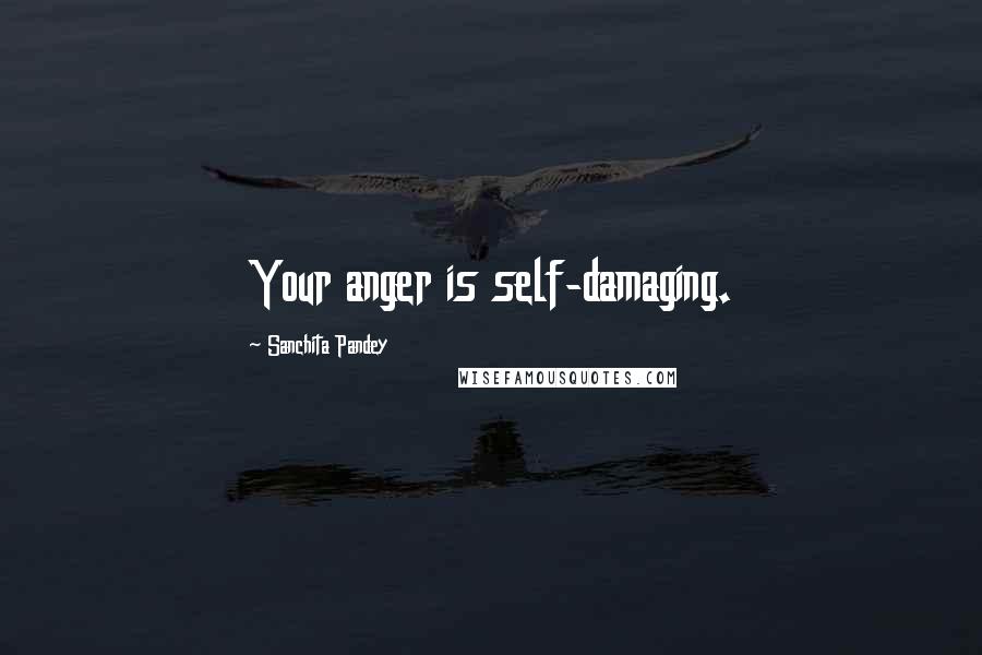 Sanchita Pandey Quotes: Your anger is self-damaging.