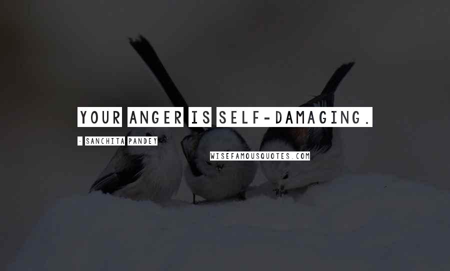 Sanchita Pandey Quotes: Your anger is self-damaging.