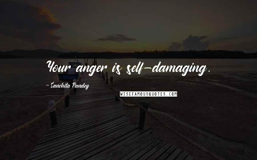Sanchita Pandey Quotes: Your anger is self-damaging.