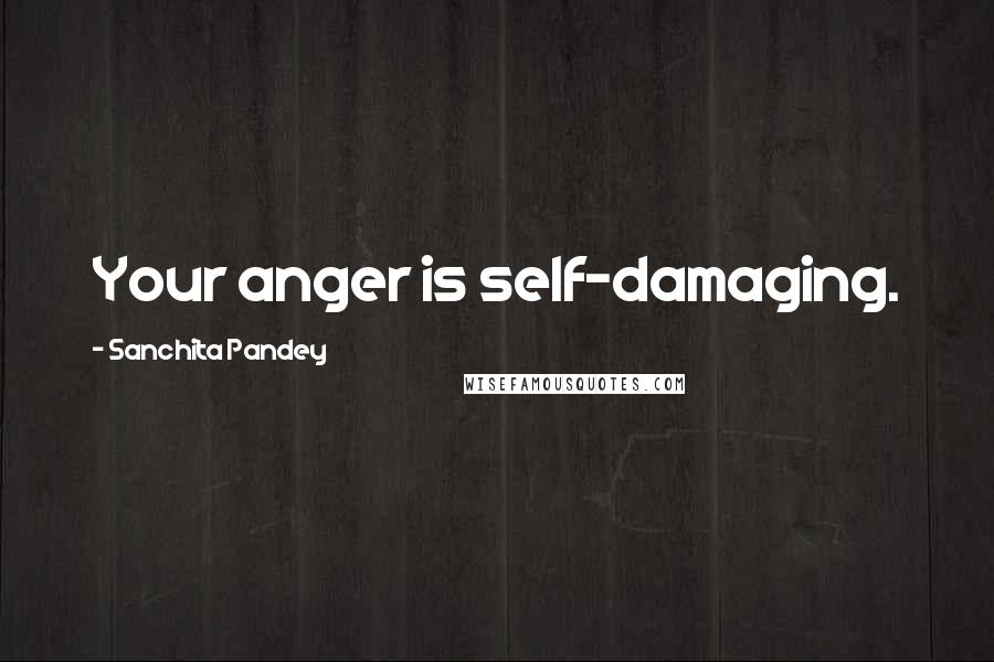Sanchita Pandey Quotes: Your anger is self-damaging.