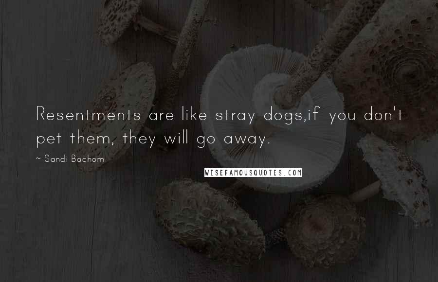 Sandi Bachom Quotes: Resentments are like stray dogs,if you don't pet them, they will go away.
