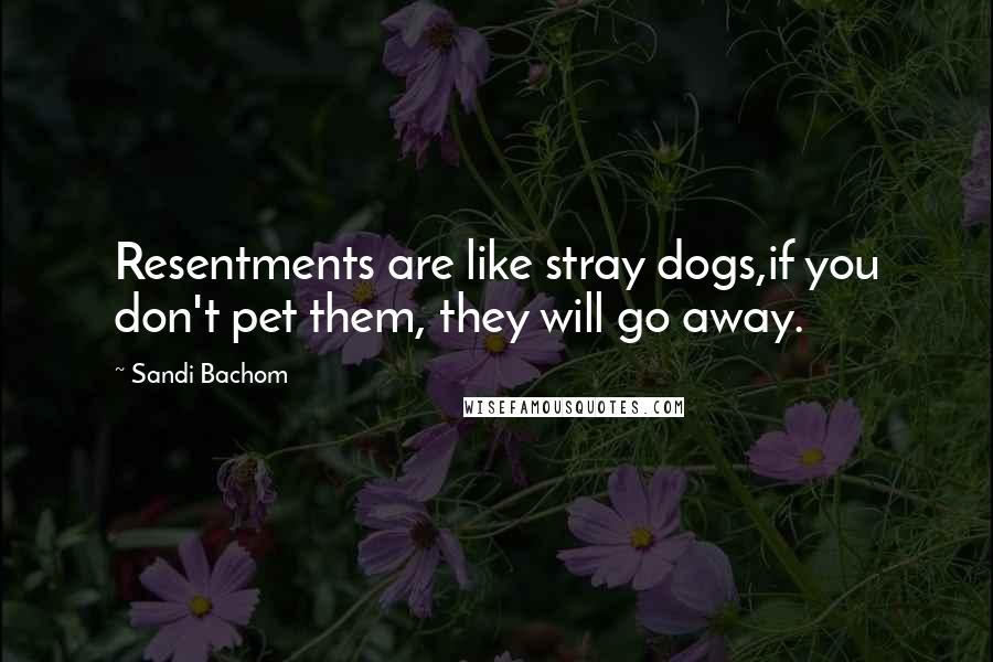 Sandi Bachom Quotes: Resentments are like stray dogs,if you don't pet them, they will go away.