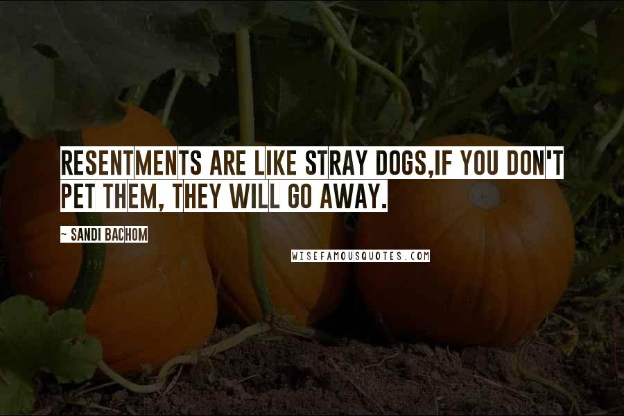 Sandi Bachom Quotes: Resentments are like stray dogs,if you don't pet them, they will go away.