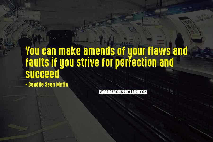 Sandile Sean Mntla Quotes: You can make amends of your flaws and faults if you strive for perfection and succeed