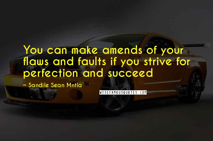 Sandile Sean Mntla Quotes: You can make amends of your flaws and faults if you strive for perfection and succeed