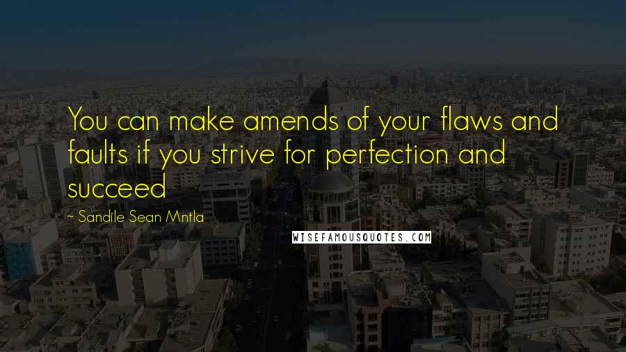 Sandile Sean Mntla Quotes: You can make amends of your flaws and faults if you strive for perfection and succeed