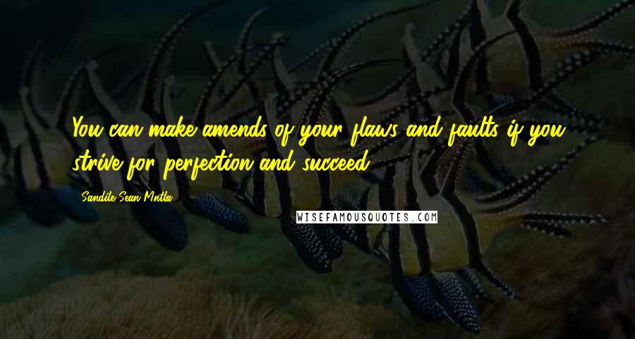 Sandile Sean Mntla Quotes: You can make amends of your flaws and faults if you strive for perfection and succeed