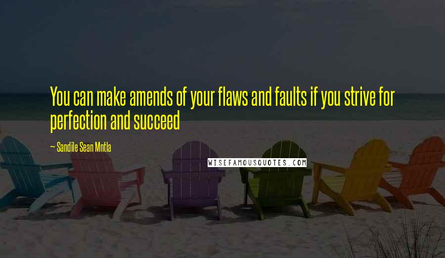 Sandile Sean Mntla Quotes: You can make amends of your flaws and faults if you strive for perfection and succeed