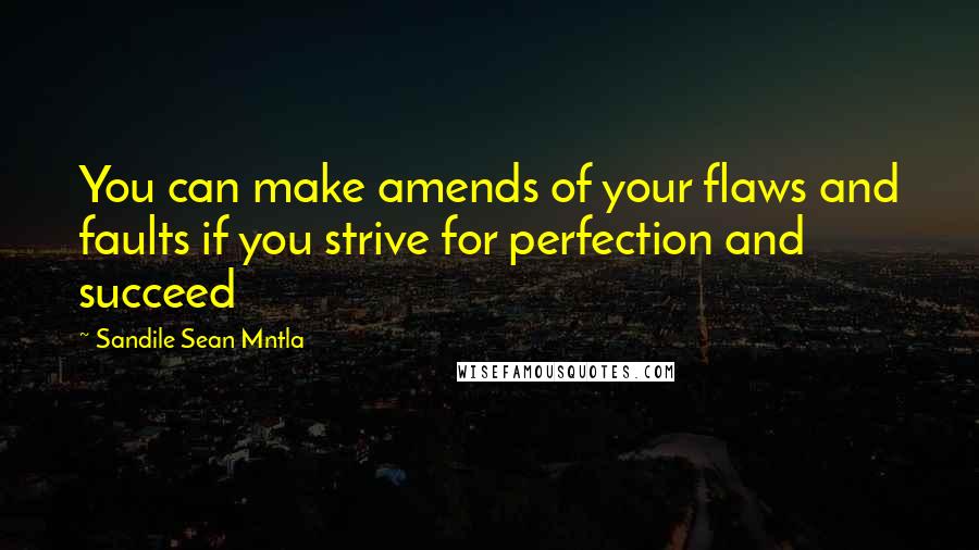 Sandile Sean Mntla Quotes: You can make amends of your flaws and faults if you strive for perfection and succeed
