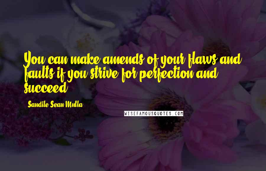 Sandile Sean Mntla Quotes: You can make amends of your flaws and faults if you strive for perfection and succeed