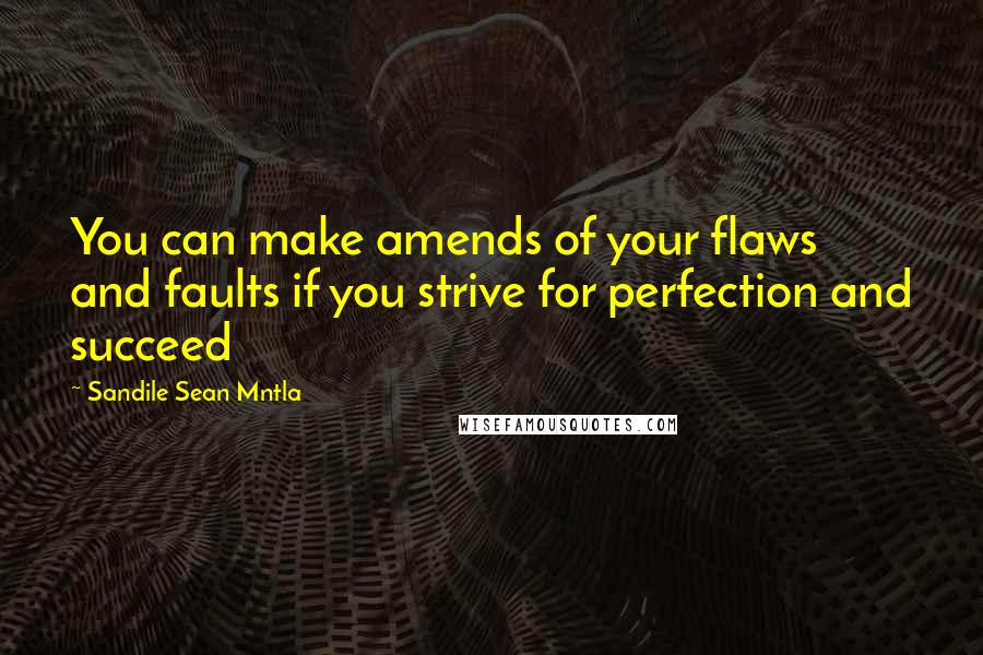 Sandile Sean Mntla Quotes: You can make amends of your flaws and faults if you strive for perfection and succeed