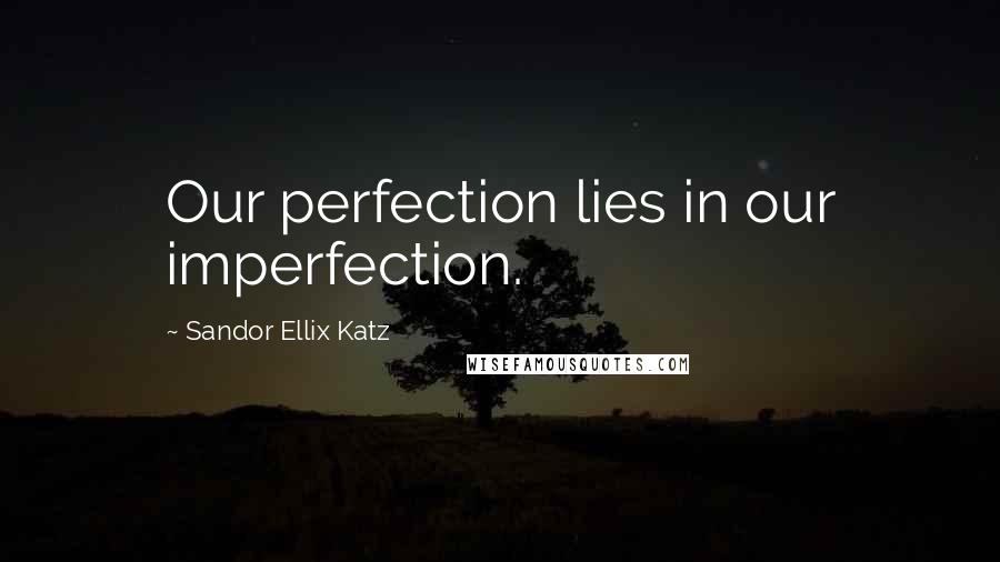 Sandor Ellix Katz Quotes: Our perfection lies in our imperfection.